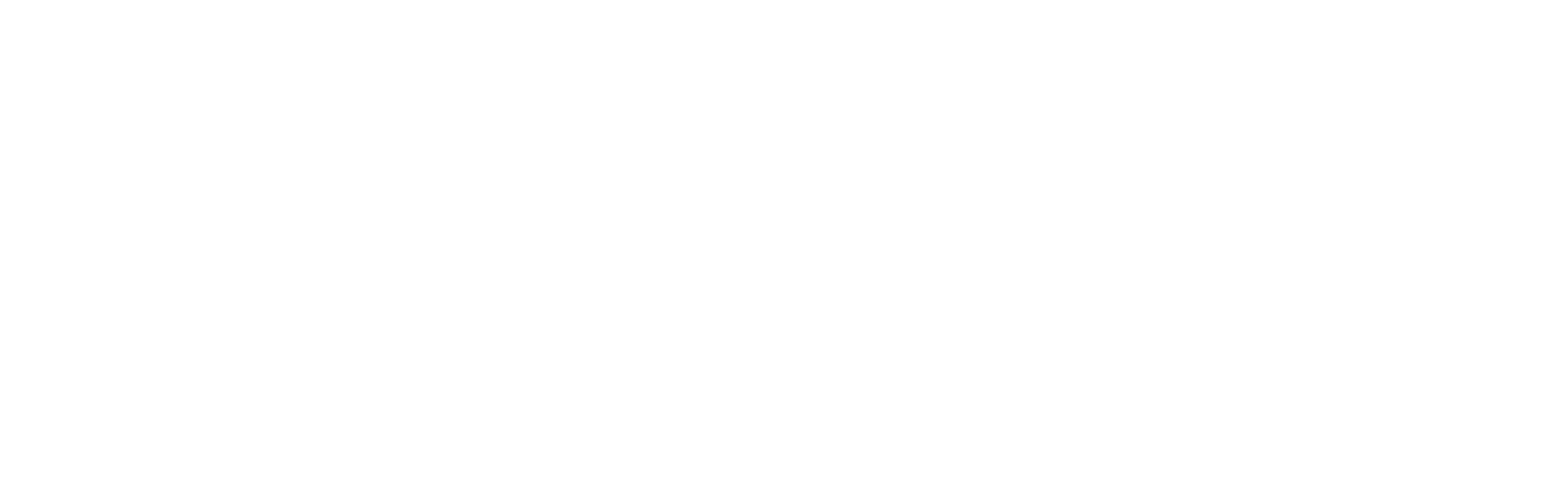 FORZA Laser